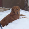 sawyerdavis2006